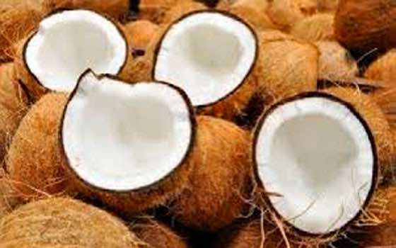 IPN crea alimentos con desechos de coco contra obesidad
