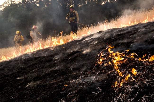 California declara estado de emergencia por incendios forestales