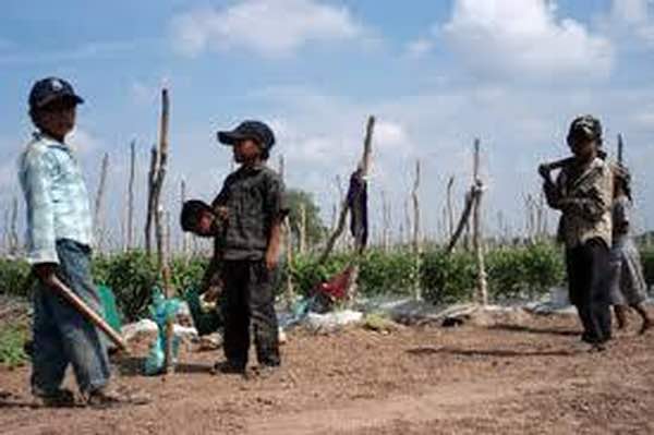 Pide CNDH protección para niños jornaleros rescatados