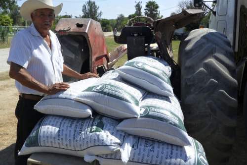 Productores rurales de Victoria  reciben Semilla Mejorada