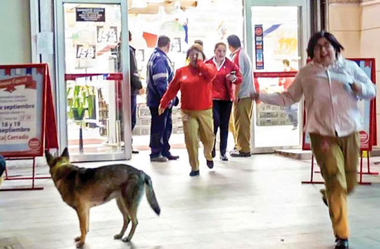 Terremoto de 8.4 grados Richter sacude Chile y provoca un tsunami: tres muertos