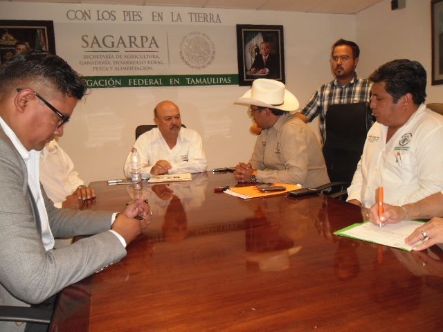 Sacrifican ganado para ‘alimentar’ protesta; hoy van a Gobierno