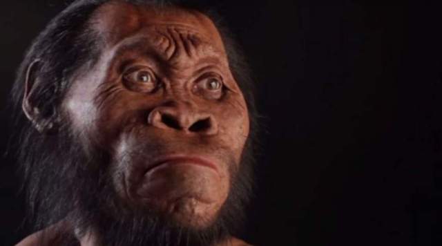 Descubren nueva especie humana en Sudáfrica