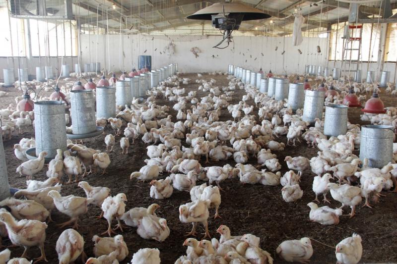 Apoya UAT productividad del campo