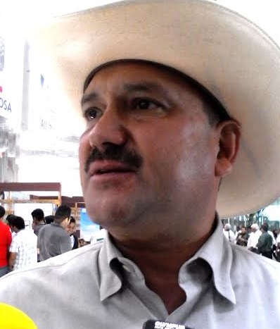 Éxito en subasta ganadera