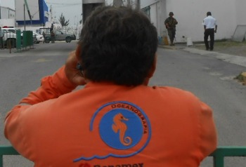 Niegan amparo a ex funcionario de Oceanografía