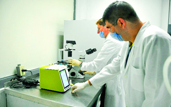 Diseñan nanocápsulas con extractos de plantas para combatir cáncer de mama