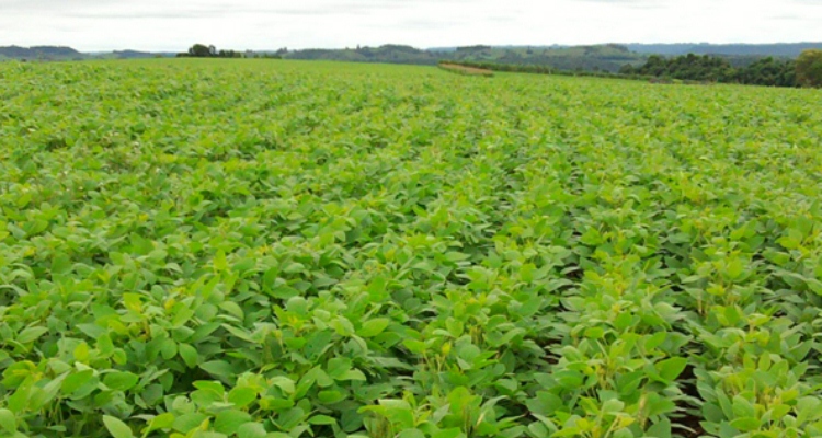 ‘Cosechan’ Productores 2 mmdp en Aserca