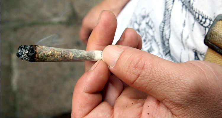 Aprueba SCJN uso  “recreativo” de marihuana