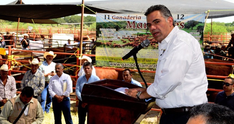 Tamaulipas tercer estado con mas exportación de ganado