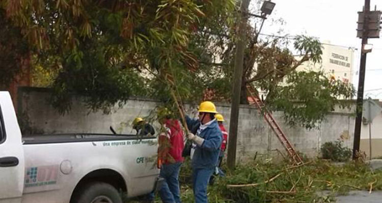 Tampico: un caos organizado por Gustavo Torres