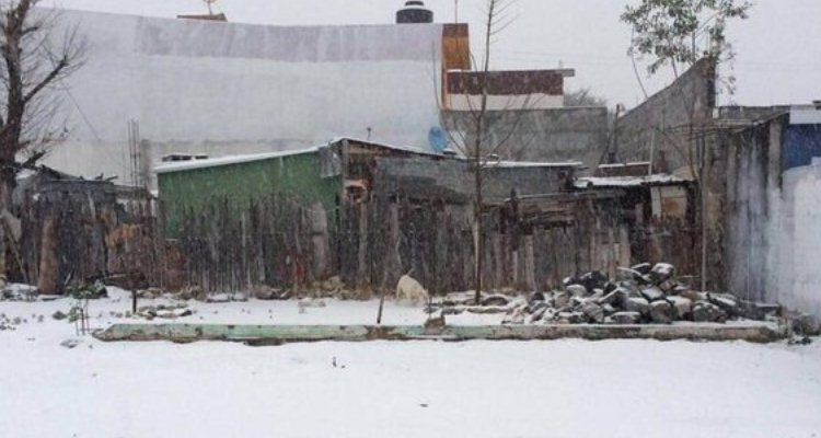 Municipios de Nuevo León y Coahuila se cubren de nieve