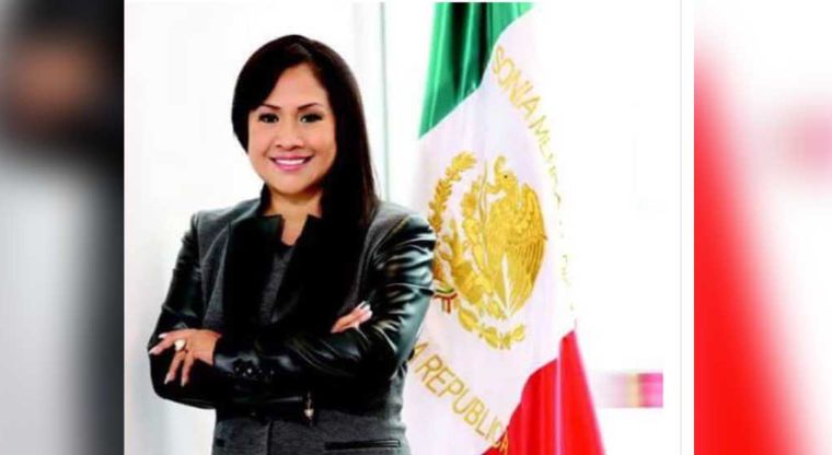 Senadora Panista Crea Polémica Al Modificar Bandera Nacional Para Ponerle Su Nombre