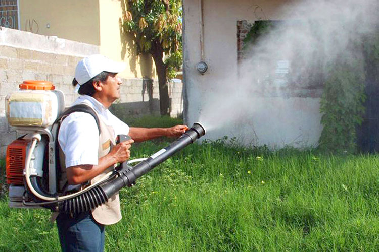 Enciende salud alerta contra el Zika y el Chikungunya