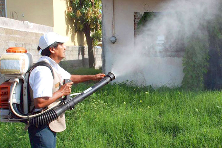 ‘Inyectarán’ en Tamaulipas 73 mdp contra Chinkunguya y Dengue