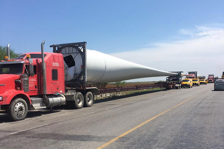 Invaden aspas gigantes carreteras de Tamaulipas