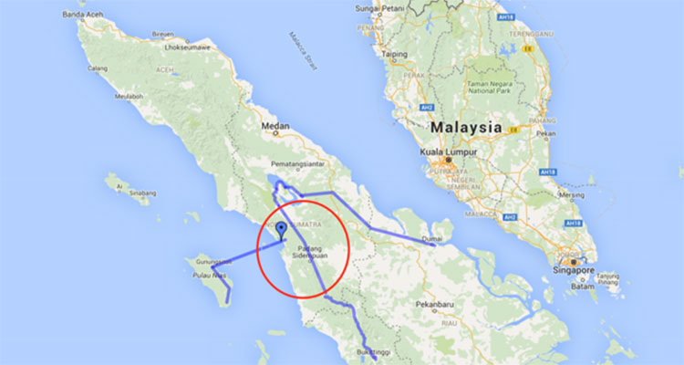 Terremoto de 7.9 grados azota Indonesia