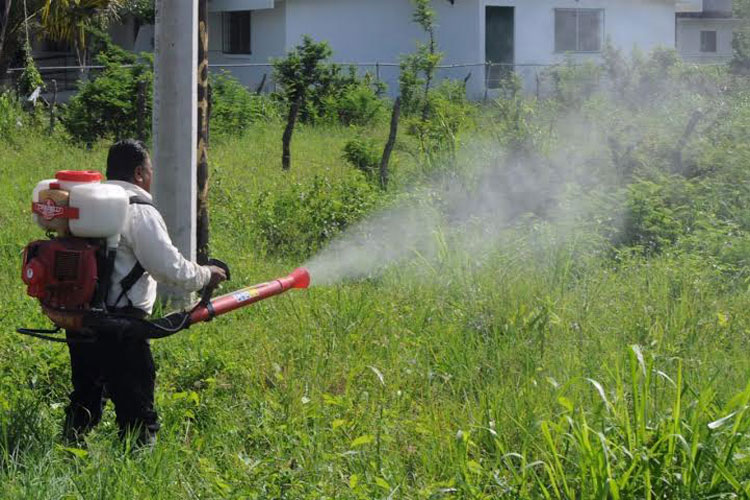 Tamaulipas diagnostica 70 casos de Dengue y 7 de Chikungunya