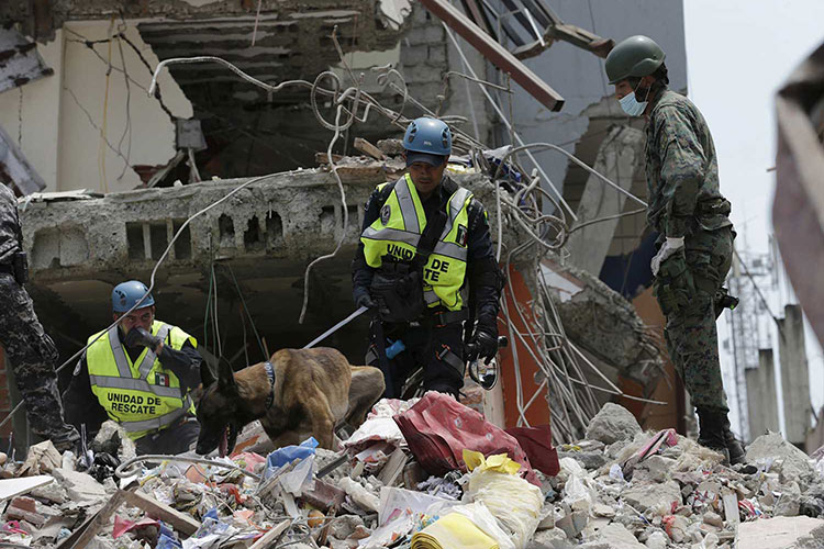 Cifra de muertos en Ecuador se mantiene en 587