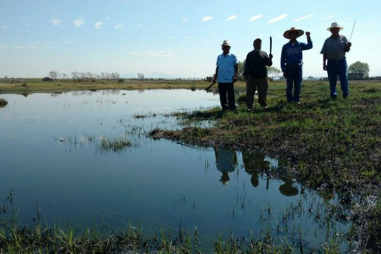 Inundan sus tierras ejidatarios para evitar autopista en Atenco