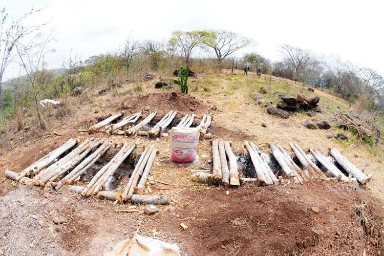 Encuentran 15 fosas clandestinas en Veracruz