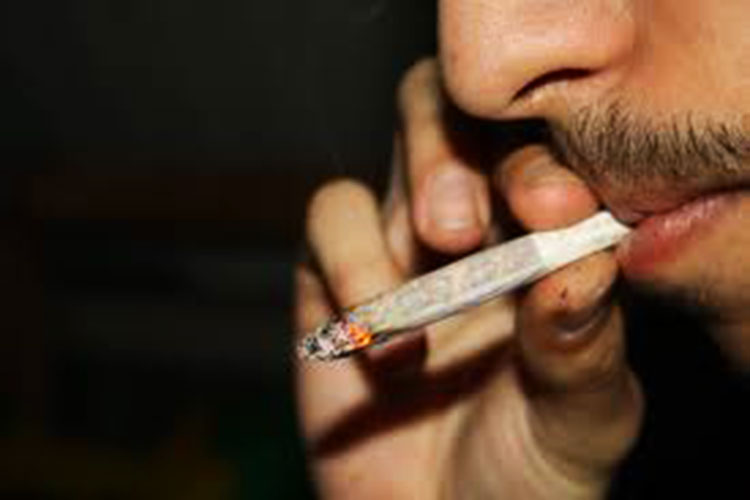 Marihuana, solo para uso medicinal: Congreso de Tamaulipas