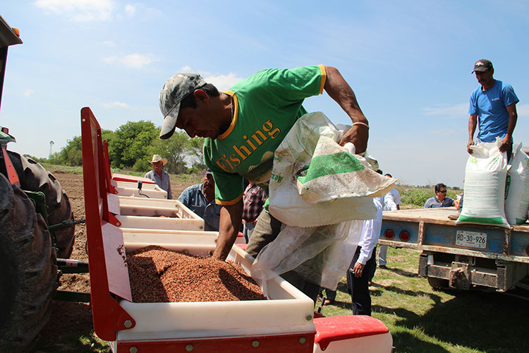 Tienen productores maquinaria suficiente para la cosecha de granos