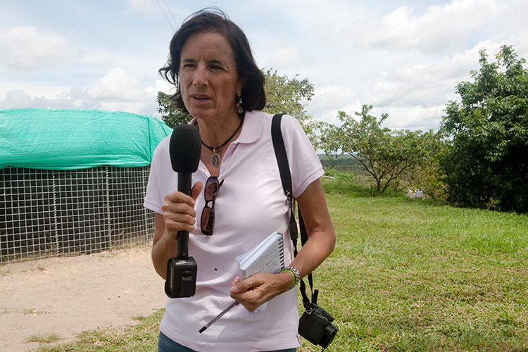 Temen que ELN haya secuestrado a periodista española