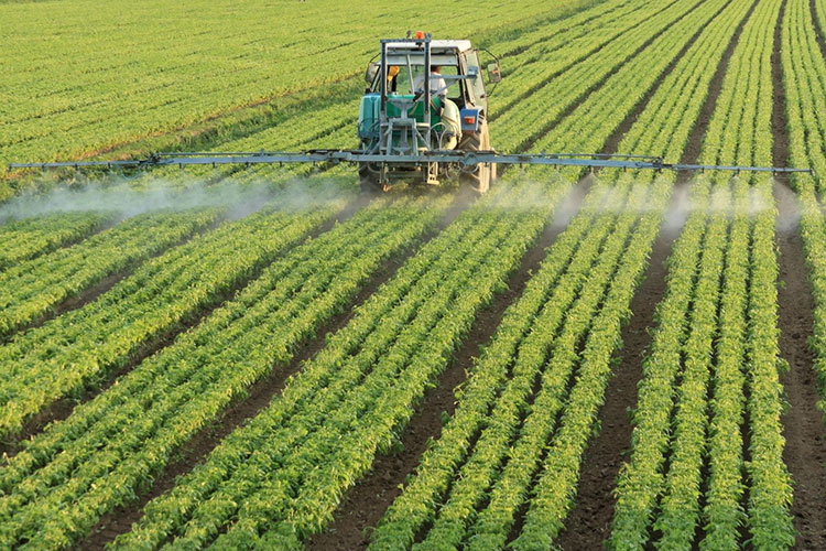 Aseguradora cubrirá daños del granizo a cultivos