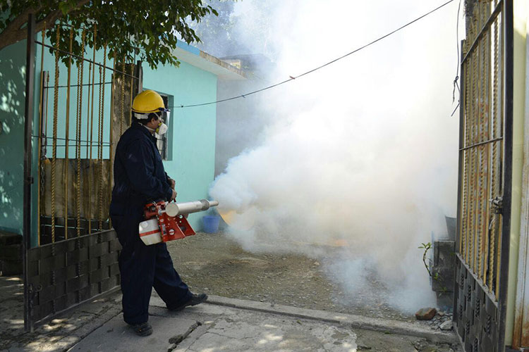 Refuerza salud estrategia de fumigación después de lluvias