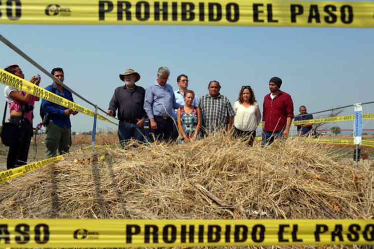 Familiares de desaparecidos acuden a exhumación en Tetelcingo