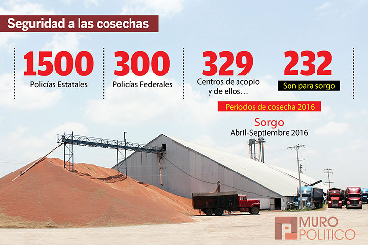 Vigilan Militares y Policías la producción alimenticia en Tamaulipas
