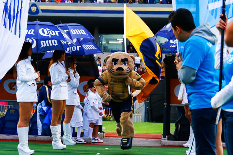 Pumas buscará su pase a semifinales de Libertadores