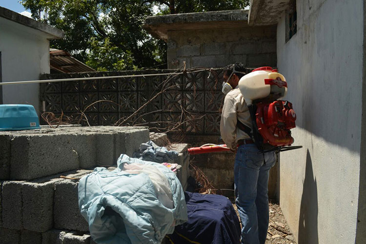 Vigilará salud zonas de altos riesgos de Dengue y Chikungunya