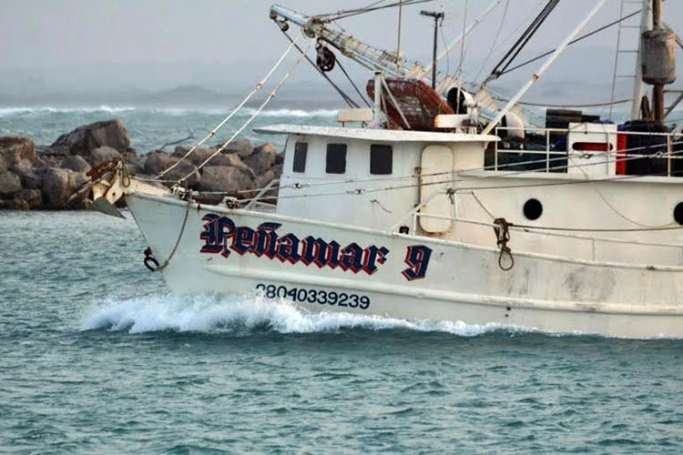 Inicia veda de camarón en mar; El 25 en la laguna: CONAPESCA