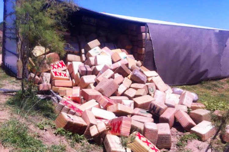 Vuelca trailer con 15 toneladas de marihuana por Huatabampo