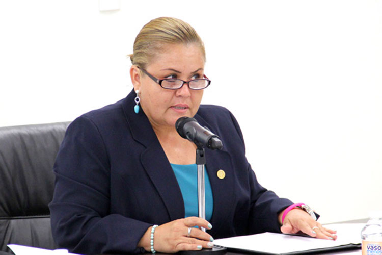 Ni el mismo PAN se creían el triunfo: diputada