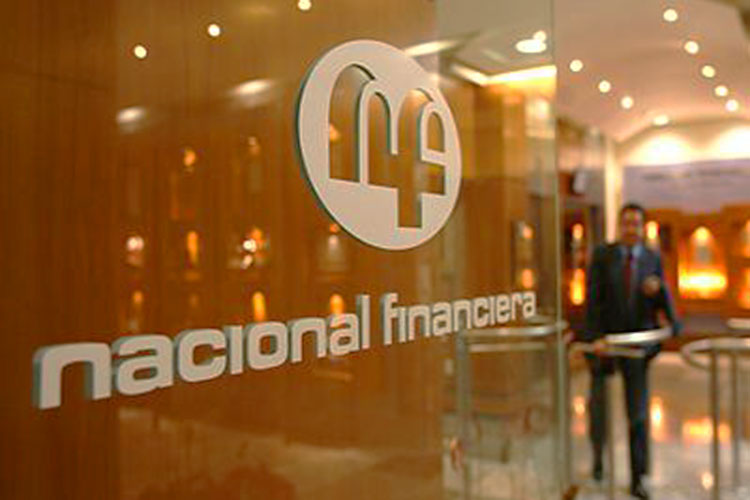 Nafinsa promoverá negocios en Victoria