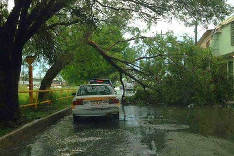 Afectadas más de 22 colonias por tromba en Reynosa