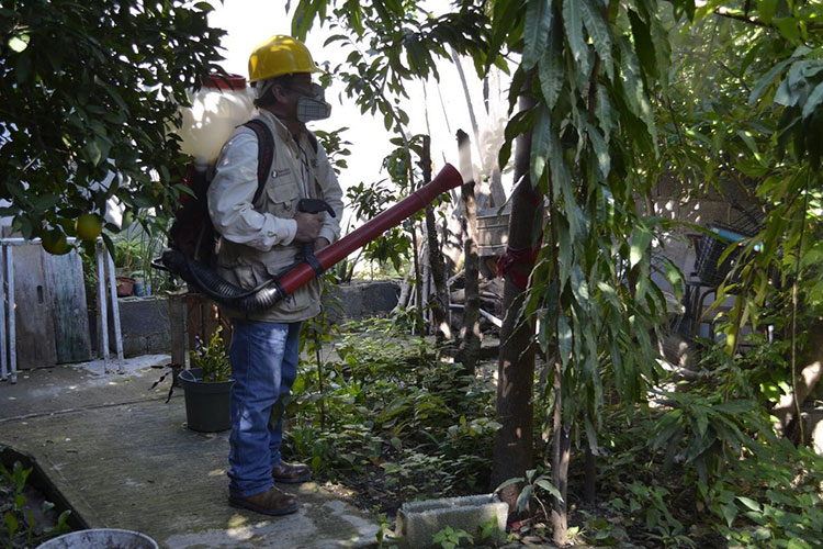 Activa Tamaulipas fase intensiva contra dengue, Zika y Chikunguya