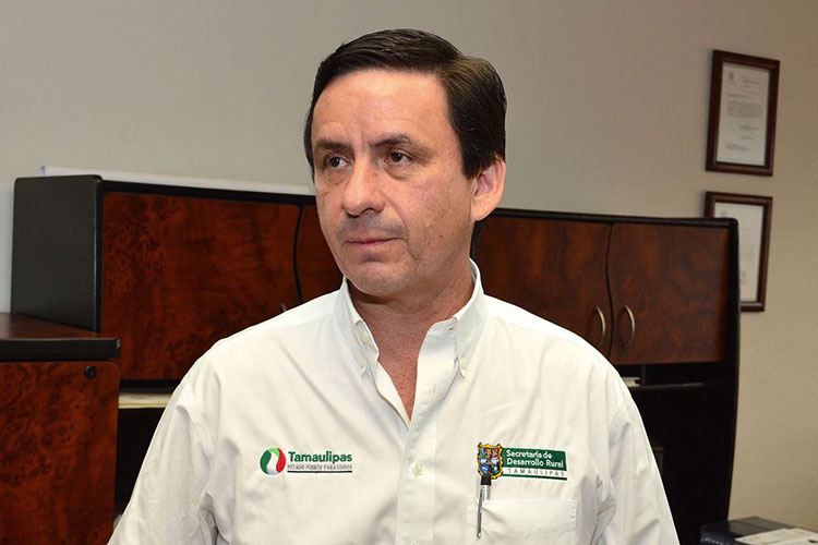 Cosecha O-I llegará a 2 millones 100 mil toneladas