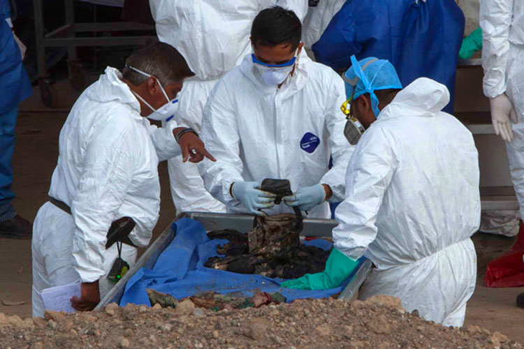 Suman 109 cuerpos exhumados en Tetelcingo