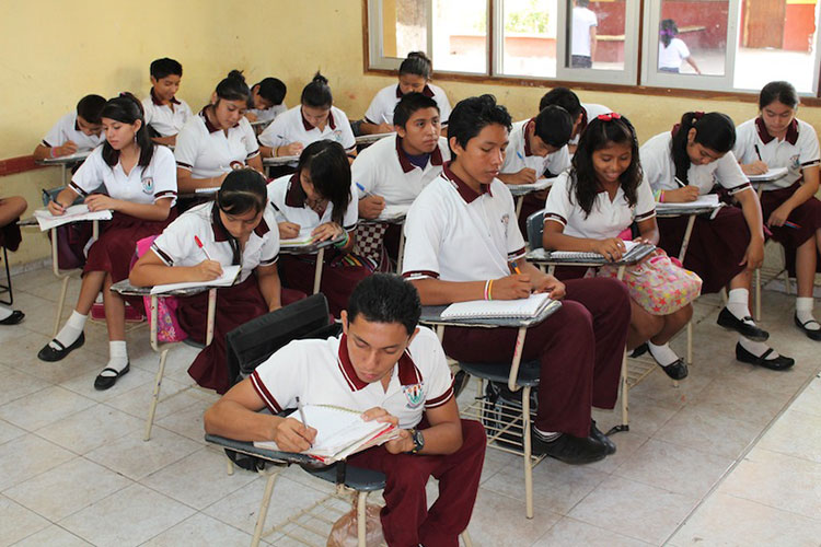 Aprendan a aprender; SEP define perfil educativo
