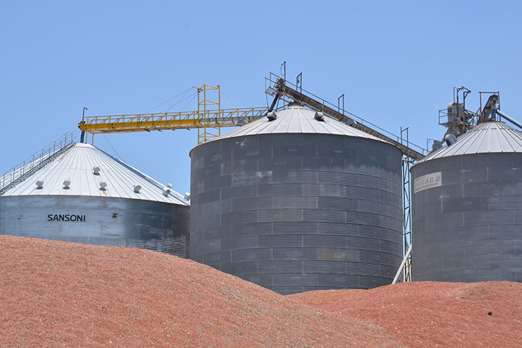 Concluye ciclo agrícola Otoño-Invierno 2015-2016