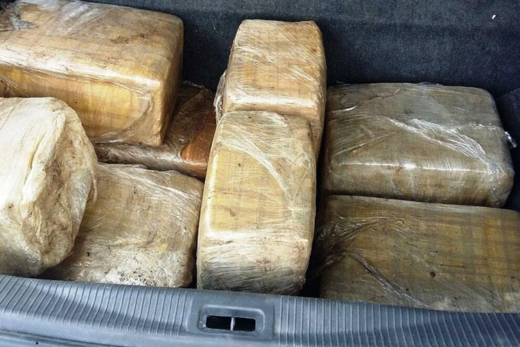 Detienen a 2 presuntos narcos; Decomisan 81.9 kilos de marihuana