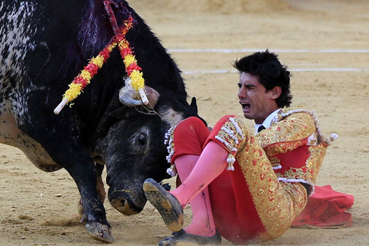 Muere torero español tras ser cornado en el pecho