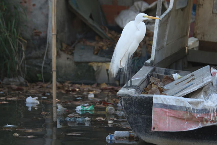 El riesgo oculto en las aguas de Brasil