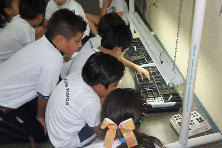 Proyecta Educación sumar 20 mil niños a programa de ciencias