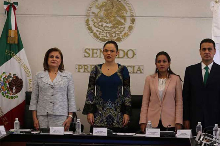 Comisión de Nochixtlán, tras la verdad y la justicia: Gómez del Campo