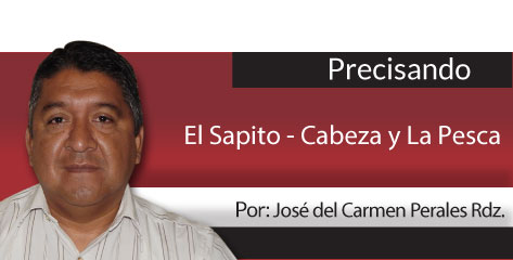 Punto por Punto ¡No me toques!